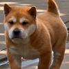 财神爷关照头像