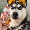 扩海咔叽咪头像