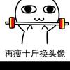 红尘何处觅知音头像