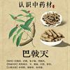 罗汉果头像