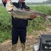 佳伟🎣头像