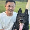 信阳新世界训犬头像