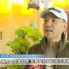 徐兰滨高尔夫会客厅头像