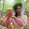 小汤蜂蜜小铺头像