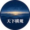 天下横观头像