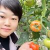 四季鲜百亩果蔬产销园头像