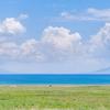 美在流浪头像
