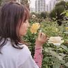 那 只 杨头像