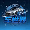 车世界头像