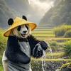 熊猫日常头像