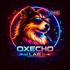 Oxecho头像