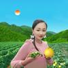 乡村棚妹4134头像