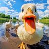 特种鸭🍃头像