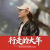 行走的大年头像