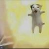 炸飞的猫头像