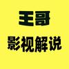王哥影视解说头像