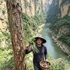 养蜂人🐝头像