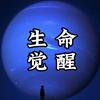 高维智慧🪐头像