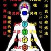 杭州沈爷头像