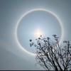 古法小师弟头像