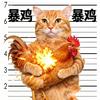 梦幻手游大肥猫头像