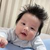 是多米呀🍼头像