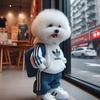 小白DIY电脑装机哈尔滨【IT 小卖部】头像