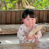 Lotus Liu头像
