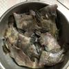 剥皮鱼头像