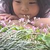 @珂冉头像