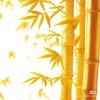 ♪(*ˉ︶ˉ*)沐宸♪ 以歌度心头像