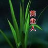 80后的小姨姨头像