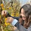 村花魏二妹头像