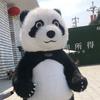 会会小小头像