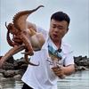 小宇（赶海啦）头像