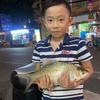 李哥啊头像