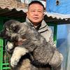 兄弟犬业头像