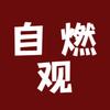 自燃观头像