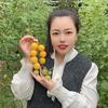 菜都小潘头像