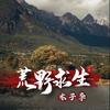 荒野木子李头像