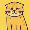 猫猫爱哈气头像
