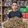 香巴拉头像