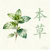人间本草集头像