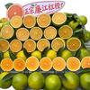 静静好物头像