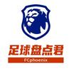 足球盘点君头像