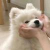 红警直播小北头像