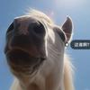 生产队的牛马🐴头像