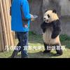 陈发胖de自强之路头像