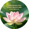 归林头像