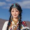 海豚灵感源泉头像